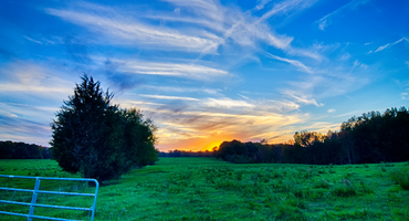 Open country sky, afternoon sun with green grass.