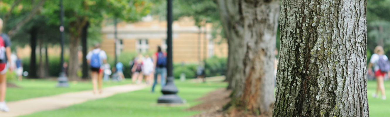 College campus with walkways, students, and lines of trees. Building in the background. 