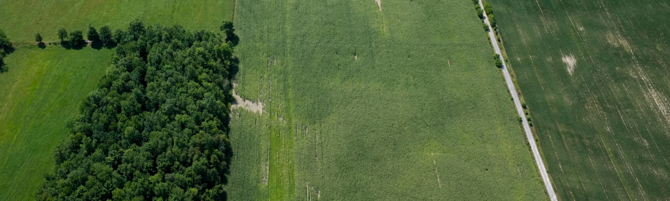 Aerial view of a country lane and green fields.